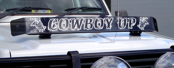 Rodeo Bull Rider Sticker (Pair)