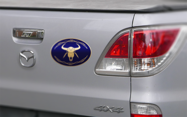 Lightning Skull & Barb Wire Sticker (Pair)