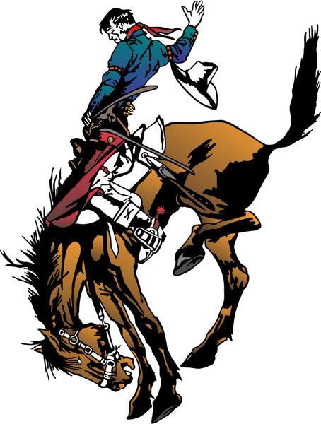 Rodeo Rider Bug Deflector Sticker (Pair)