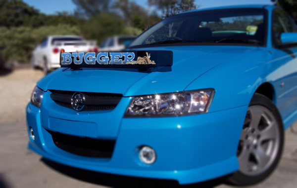 'Bugger' Bug Deflector Name Sticker