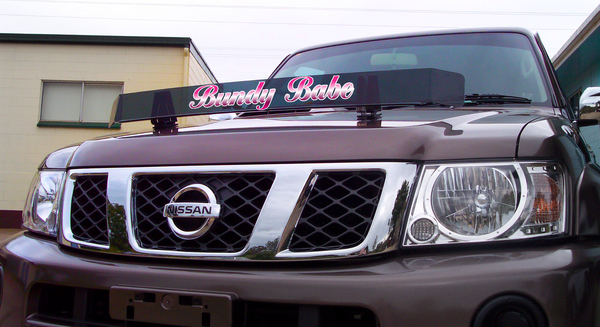 'Bundy Babe' Bug Deflector Name Sticker