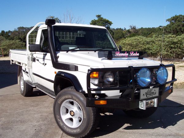 'Bundy Babe' Bug Deflector Name Sticker