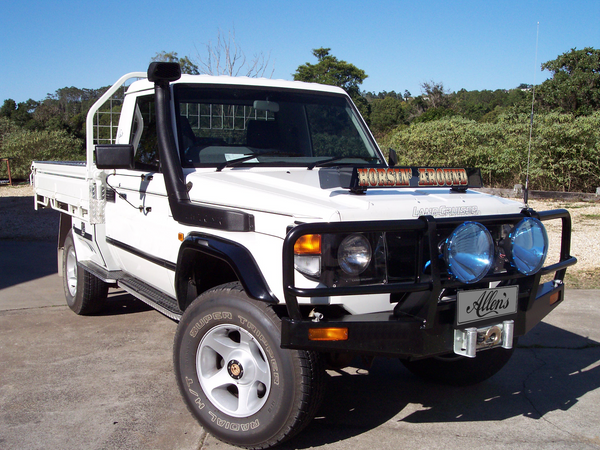 'Horsin' Around' Bug Deflector Name Sticker