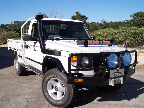 'Bad Bulls 'n' Broncs' Bug Deflector Name Sticker