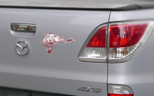 Allens Barra Hog Sticker (Pair)