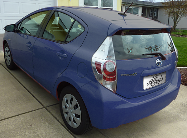 Tribal Butterfly Sticker (Set)