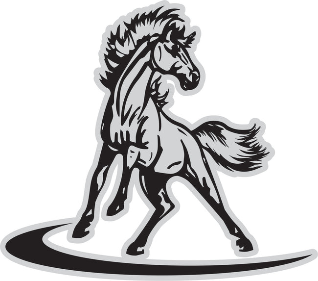 Spinning Horse - 'Come In Spinner'