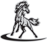 Spinning Horse - 'Come In Spinner'