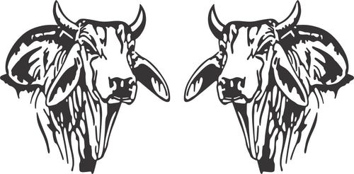 Brahman Bull Head Sticker (Pair)