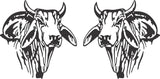 Brahman Bull Head Sticker (Pair)