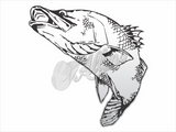 Barra Jumping Sticker (Pair)