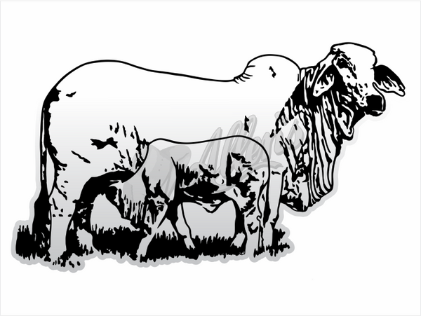 Brahman Cow & Calf Sticker (Pair)