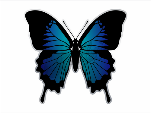 Ulysses Butterfly Sticker (Pair)