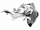 Allens Barra Hog Sticker (Pair)
